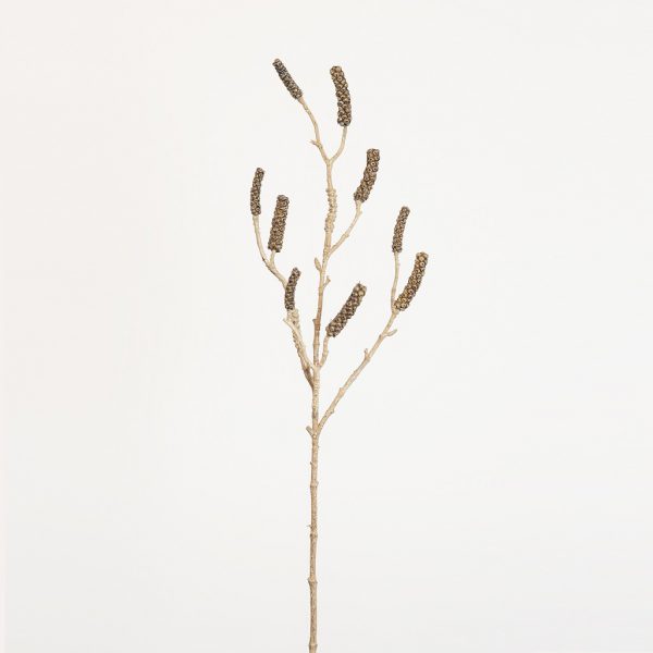 Callistemon branch brown - Afbeelding 2