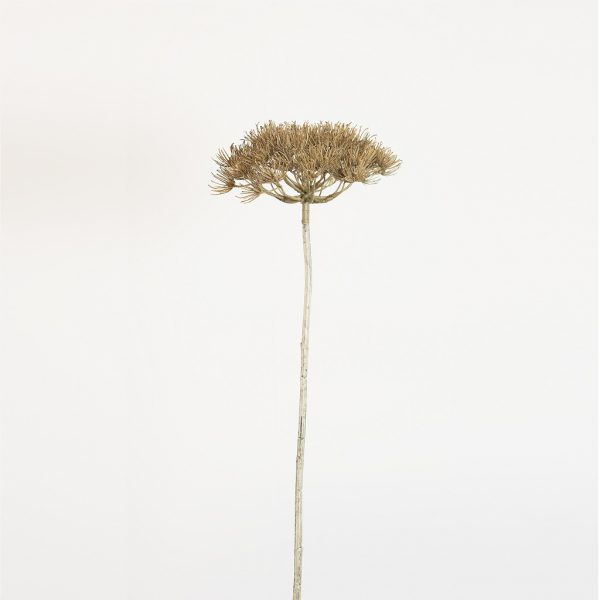 Dille single brown - Afbeelding 2