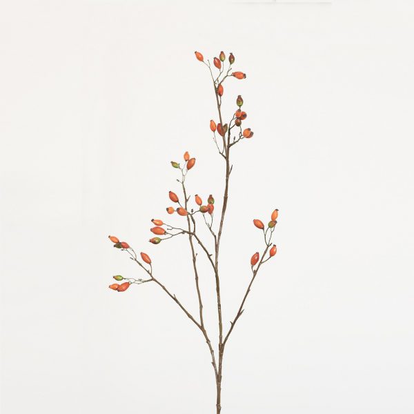 Rose bottle long - Afbeelding 2