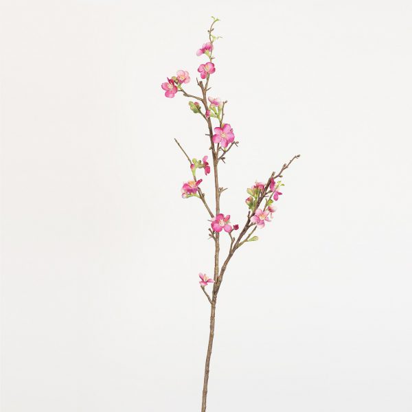 Quince blossom Fuchsia - Afbeelding 2