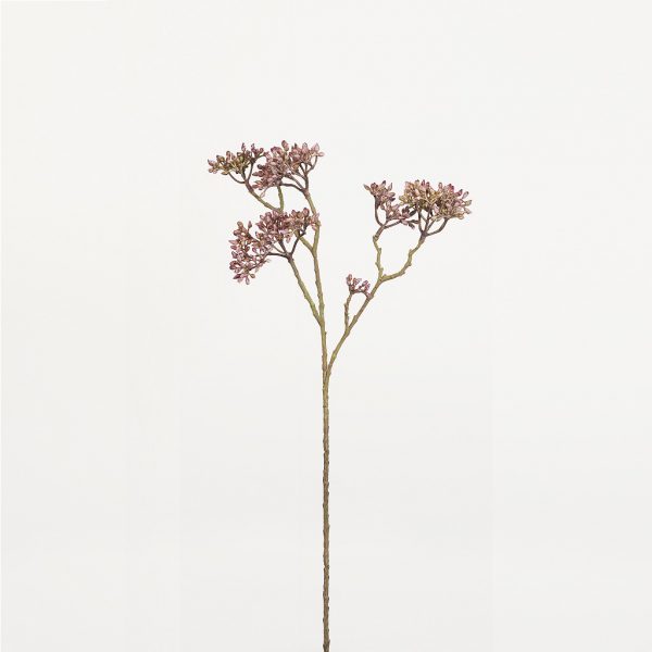 Dogwood seed pink - Afbeelding 2
