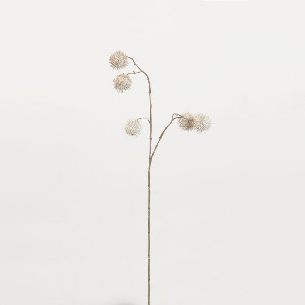 Platanus white - Afbeelding 2
