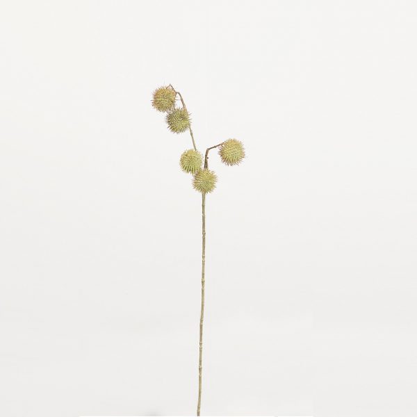 Platanus green - Afbeelding 2