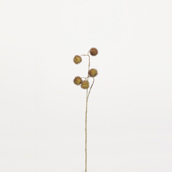 Platanus brown - Afbeelding 2
