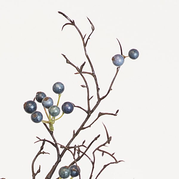 Berries long blue