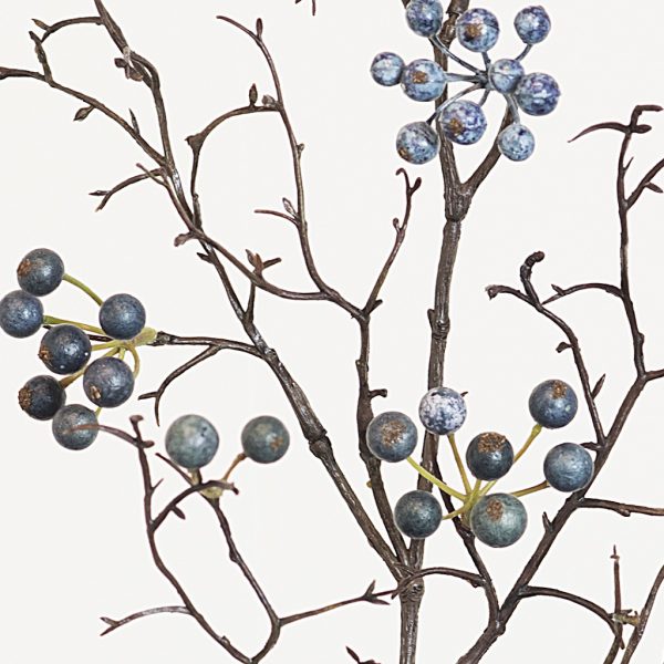 Berries blue