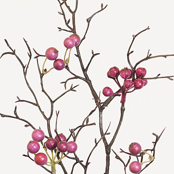 Berries pink