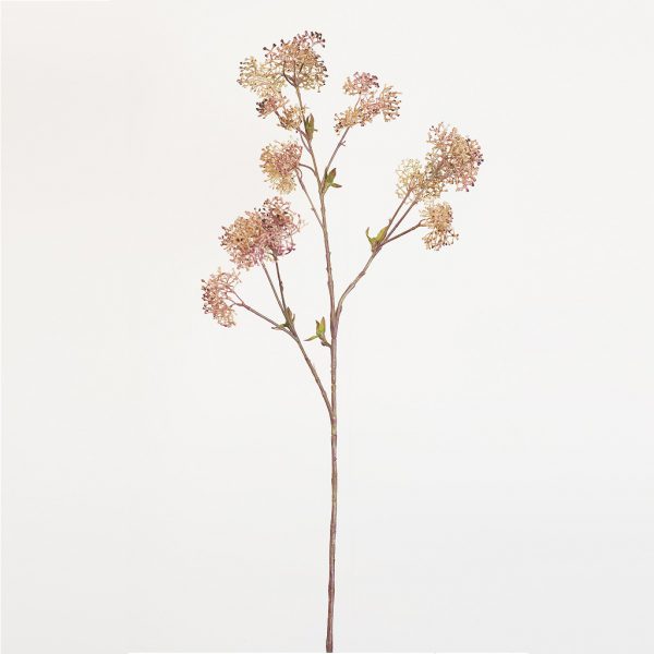 Skimmia red/pink - Afbeelding 2