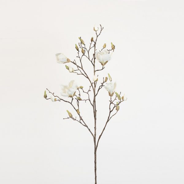 Magnolia super white - Afbeelding 2
