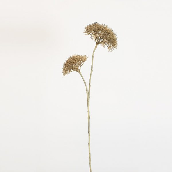 Dille 2 head brown - Afbeelding 2