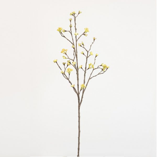 Maple fruit long yellow - Afbeelding 2