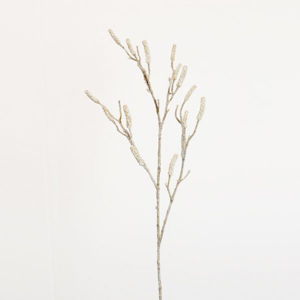 Callistemon long branch white - Afbeelding 2