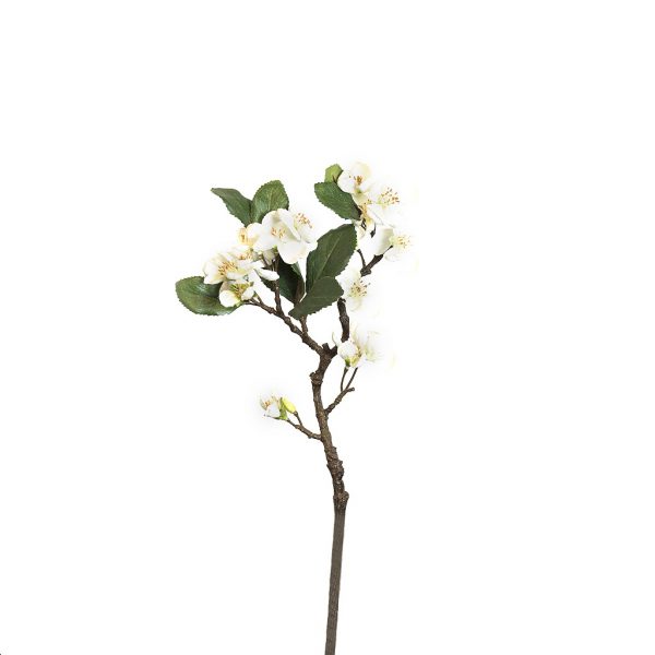 Apple blossom small white - Afbeelding 2