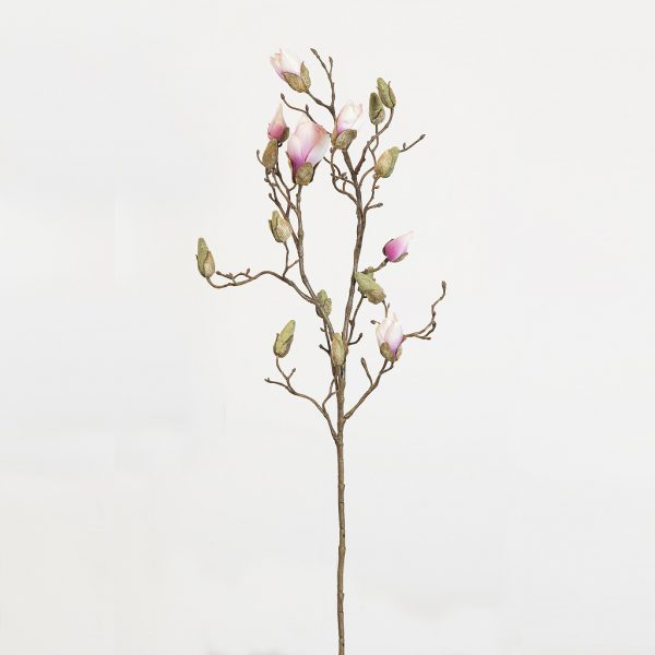Magnolia bud soft pink - Afbeelding 2