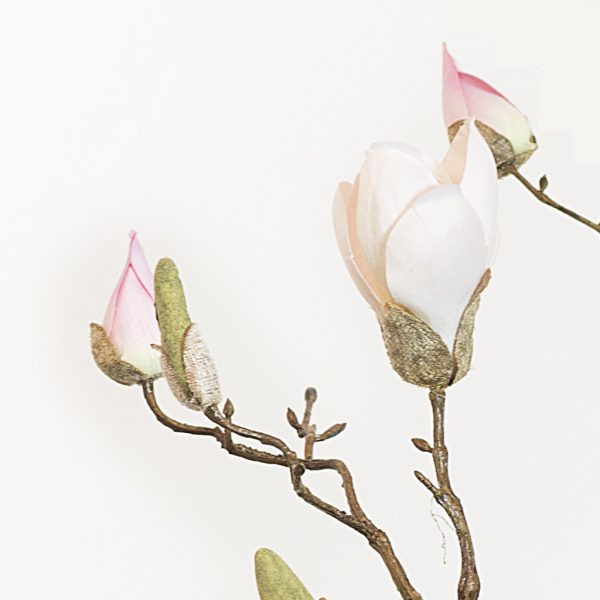 Magnolia bud long soft pink
