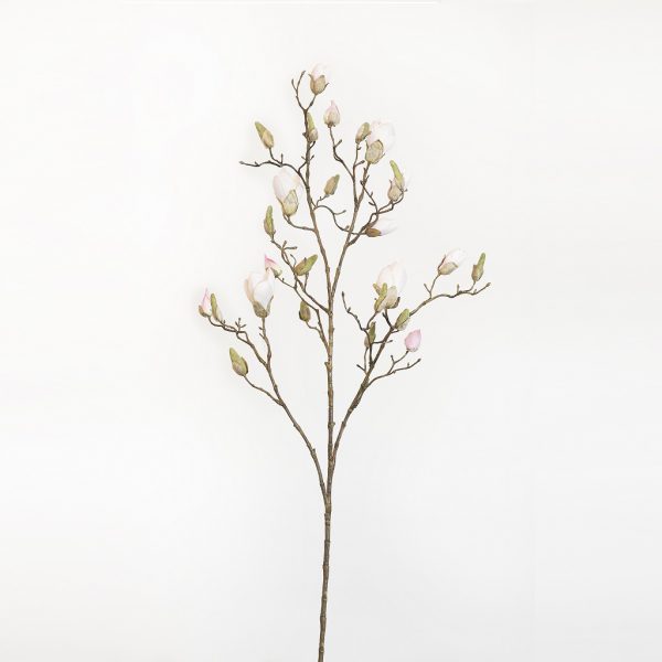 Magnolia bud long soft pink - Afbeelding 2