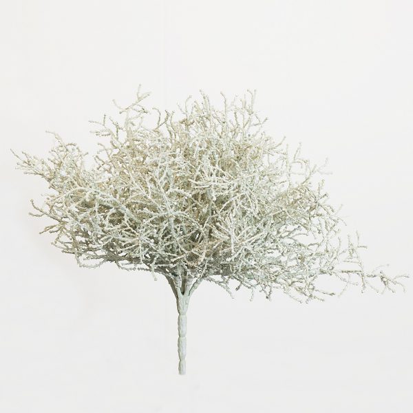 Santolina grey - Afbeelding 2
