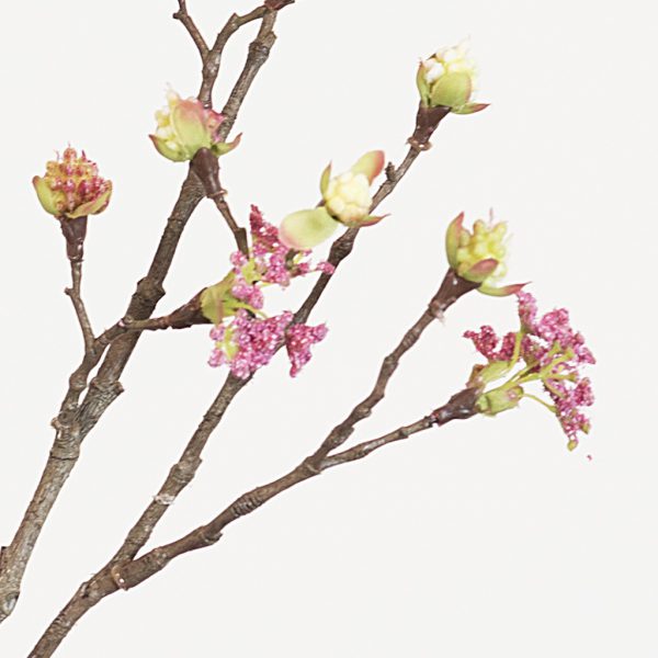 Maple fruit long pink