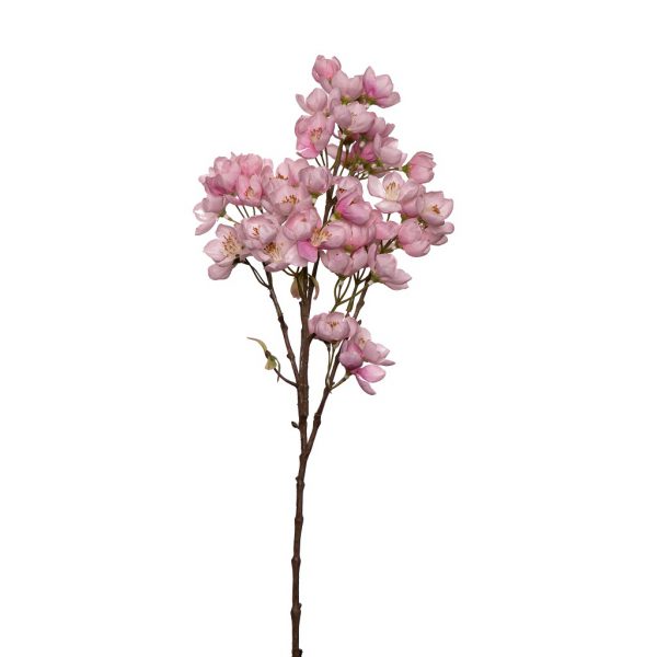 Apple Blossom small pink - Afbeelding 2