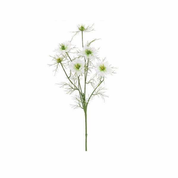 Nigella white - Afbeelding 2
