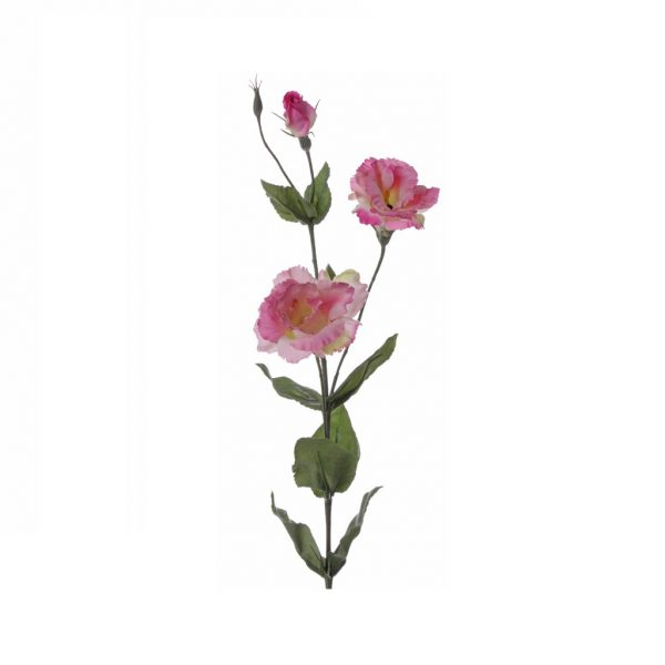 Lisianthus deluxe pink - Afbeelding 2