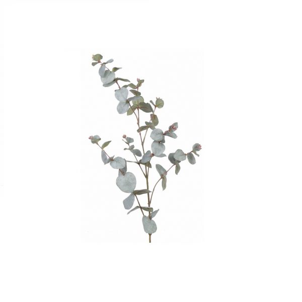 Eucalyptus grey green - Afbeelding 2