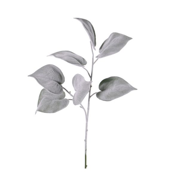 Philodendron frost - Afbeelding 2