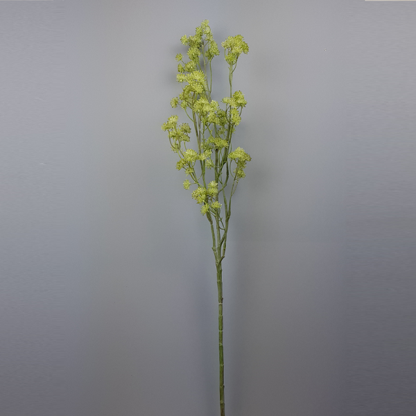Aralia green - Afbeelding 2