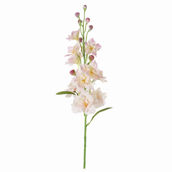 Delphinium soft pink - Afbeelding 2