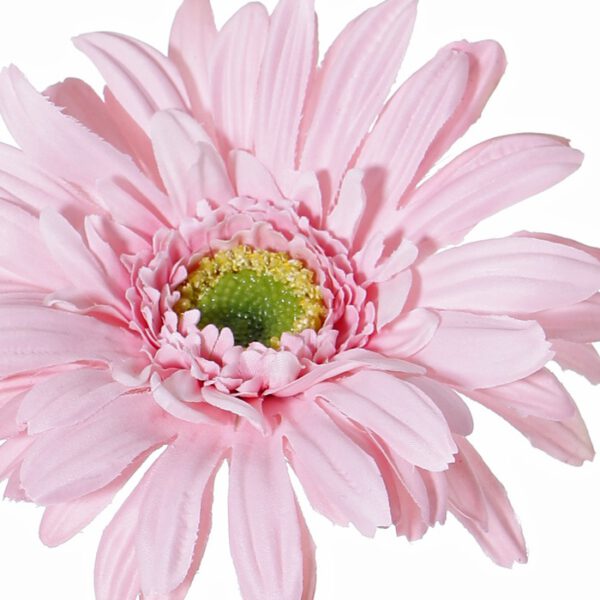 Gerbera long pink