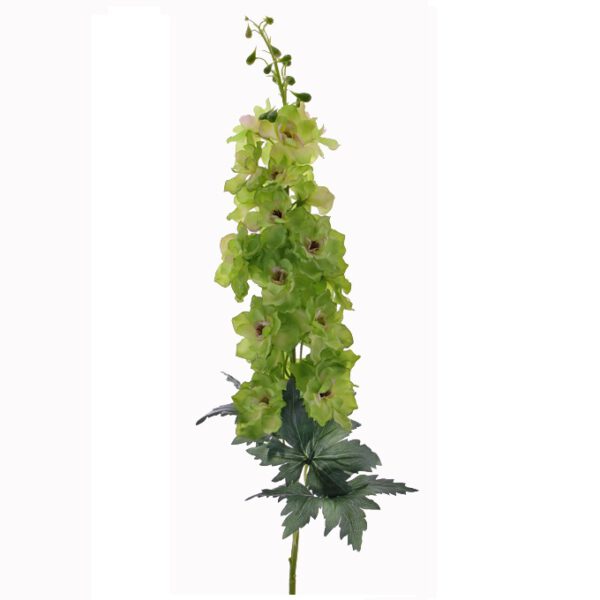 Delphinium jade green - Afbeelding 2