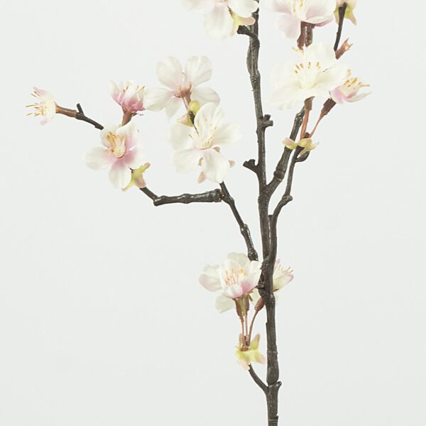 Blossom bright soft pink