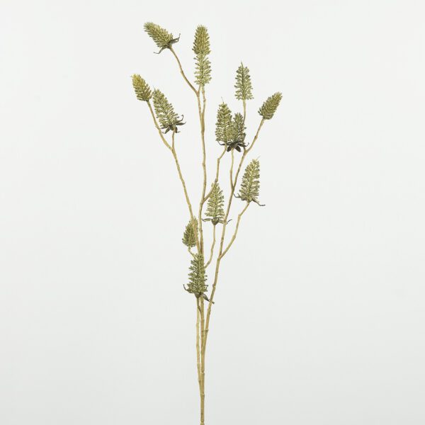 Distel prickly green - Afbeelding 2