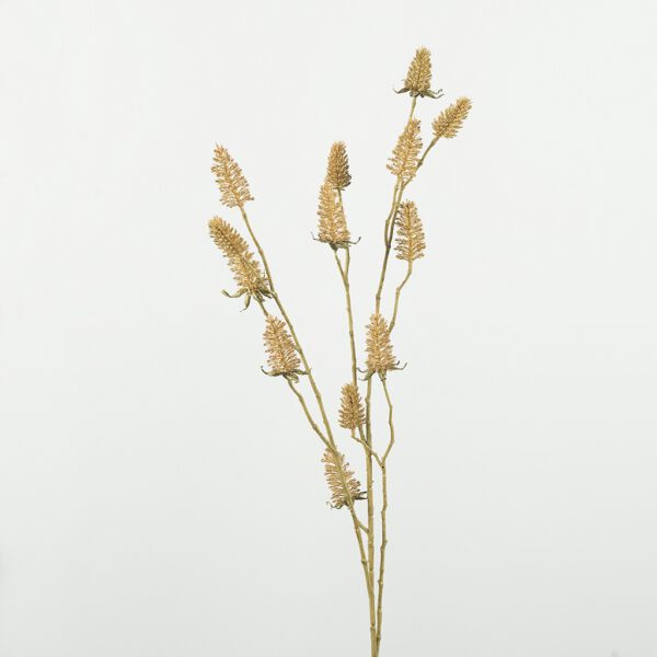 Distel prickly brown - Afbeelding 2