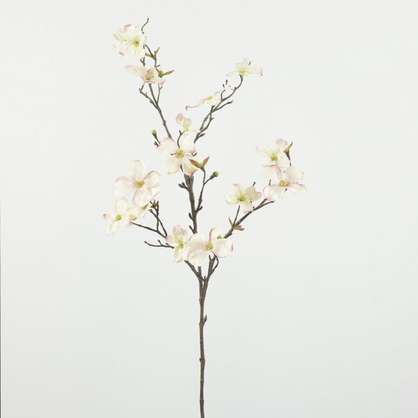 Cornus dogwood big soft pink - Afbeelding 2